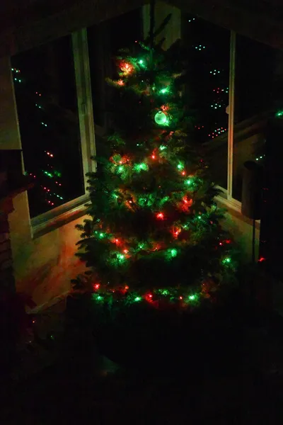 DSC_0322 (Large).JPG